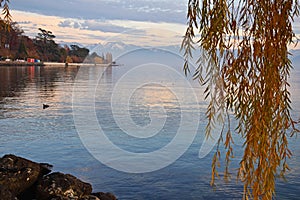 Colorful autumn at embankment on Lake Geneva in Lausanne , Switzerland