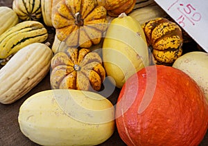 Winter squash, gourds at a fall outdoor market stall