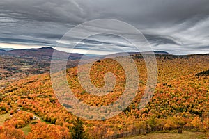 Colorful autumn foliage