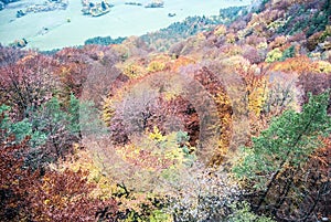 Colorful autumn forest in Sulovske skaly mountains in Slovakia