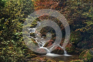 Colorful autumn in forest. Closeup on water stream and rocks