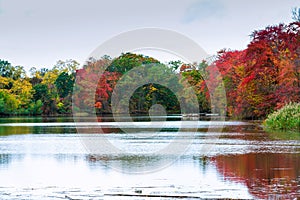 colorful autumn forest lake river sky clouds Cirrus