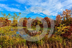 colorful autumn forest lake river sky clouds cloud