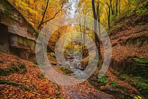 colorful autumn forest with long trails, streams and waterfalls