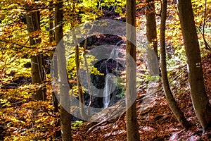 Colorful autumn forest with yellow leaves and waterfall at background