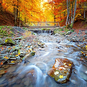 Colorful Autumn in forest - yellow orange trees, small wooden bridge and fast river with stones