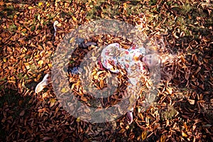 Colorful autumn and happy child lying in orange, yellow leaves