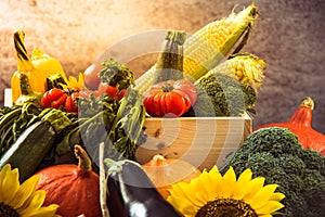 Colorful autumn harves crop vegetables photo