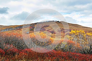 The colorful autumn hillside