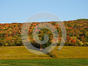 Colorful autumn hillside of Cortland County FingerLakes region