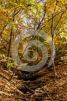 Colorful Autumn hillside with small stream