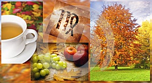 Colorful autumn images for zodiac sign Virgo  like a astrology concept