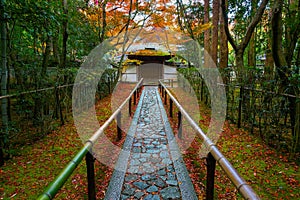 Colorful Autumn at Koto-in Temple in Kyoto