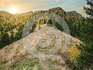 Colorful autumn landscape in the Carpathian Mountains, Romania. Autumn forest scenery at sunset or sunrise