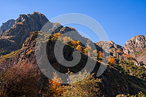 Colorful autumn landscape in the Caucasus mountains, colorful forest in Kazbegi, Georgia