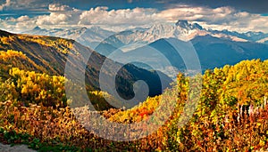 Colorful autumn landscape in the Caucasus mountains.