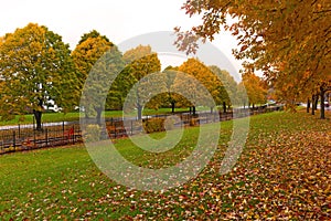 Colorful autumn landscape with deciduous trees in Burlington, Vermont, USA.