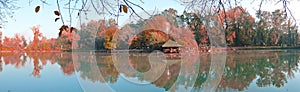 Colorful autumn landscape on the lake shore; panorama