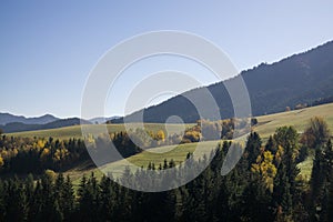 Colorful autumn landscape with mist and leaves on the trees in nature.