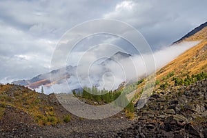 Colorful autumn landscape with mountain and coniferous trees on hill with view to forest mountain in golden sunshine in low clouds