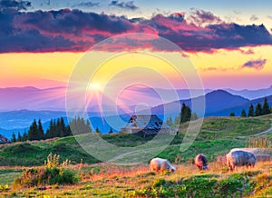 Colorful autumn landscape in mountain village.