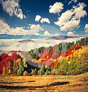 Colorful autumn landscape in the mountain village. Foggy morning