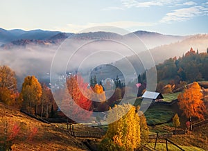 Colorful autumn landscape in the mountain village Foggy morning. Close up view. Generative AI