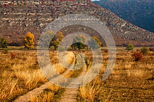 Colorful autumn landscape with old country road