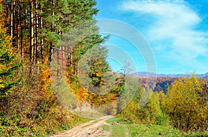 Colorful autumn landscape with picturesque forest and old country road. Sunny morning scene in Carpathians, Ukraine, Europe.