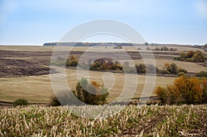 Colorful autumn landscape of rural fields, trees and sky in the daytime. Trees with red, yellow and green leaves.