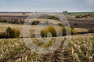 Colorful autumn landscape of rural fields, trees and sky in the daytime. Trees with red, yellow and green leaves.