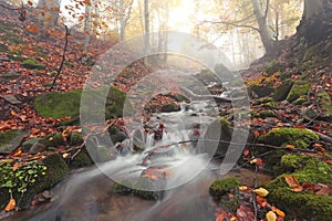 Colorful autumn landscape, stunning autumn dawn landscape, river in autumn forest, amazing panoramic nature scenery.