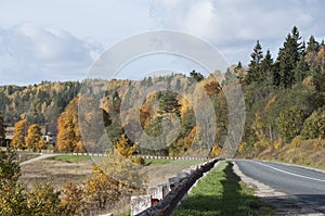 Colorful autumn landscape with colorful trees and road downhill