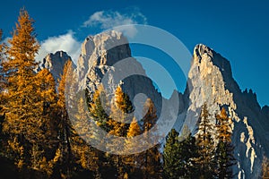 Colorful autumn larch forest and spectacular cliffs at sunset, Dolomites