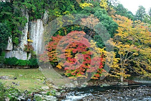 Colorful autumn leaves along Uda river, Nara