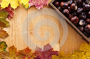 Colorful autumn leaves arranged in frame. Wooden background with copy space. Brown chestnuts in woooden box.