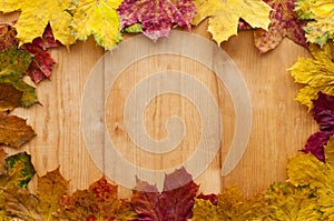 Colorful autumn leaves arranged in frame - yellow, red and brown. Background from light wood boards - copy space