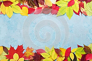 Colorful autumn leaves background banner top view. Fall sale mockup. Copy space for text.