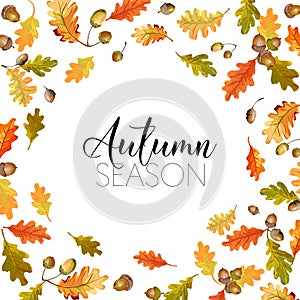 Colorful Autumn Leaves Background. Floral Banner Design