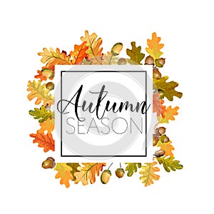 Colorful Autumn Leaves Background. Floral Banner Design