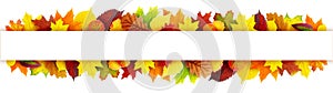 Colorful autumn leaves banner