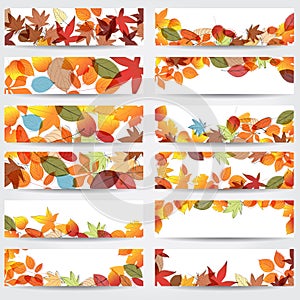 Colorful autumn leaves banners