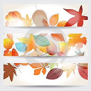 Colorful autumn leaves banners