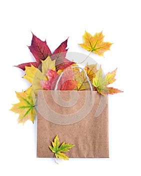 Colorful autumn leaves in a brown craft bag