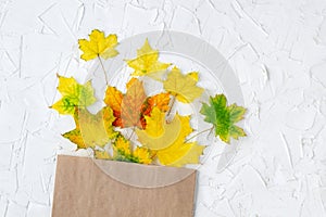 Colorful autumn leaves in a brown craft bag on white background for sopping, sale