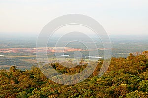 Colorful autumn leaves in the Chapada dos Guimaraes forest, Mato Grosso, Brazil