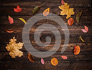 Colorful autumn leaves on a dark old wood background. Bright autumn leaves bordering on rustic wooden boards. Round frame, top vi