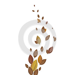 Colorful autumn leaves decorated with white blank paper for your message. Can be used as a poster or greeting card