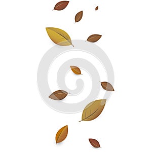 Colorful autumn leaves decorated with white blank paper for your message. Can be used as a poster or greeting card