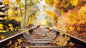 Colorful autumn leaves falling down on railway tracks